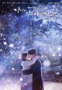 While You Were Sleeping 2017