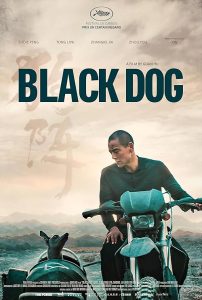 Black Dog 2024
