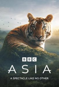 Asia 2024 آسیا