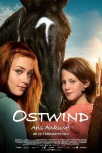طوفان ۴: ورود آری Windstorm 4: Ari’s Arrival 2019